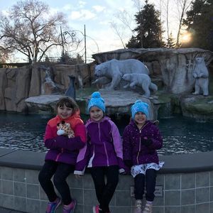 Meet your Posher, Debbie